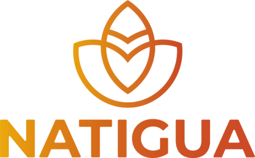 logo natigua